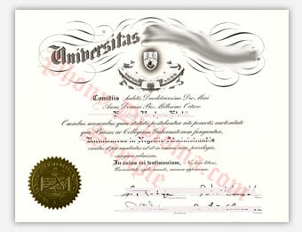 Universitas Novi Brunsvici - Fake Diploma Sample from Italy